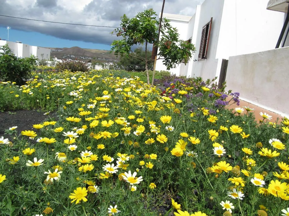 Casa Montana De Tahiche Villa 0*,  Spain